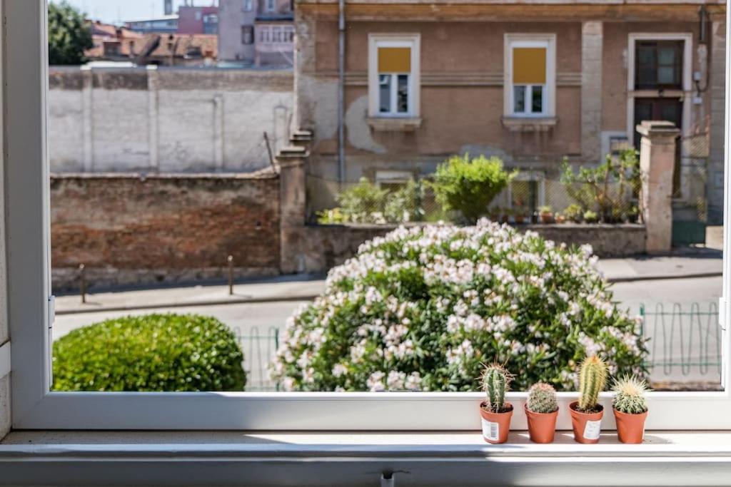 Quirky Apartment Arena With Parking Pula Exterior photo